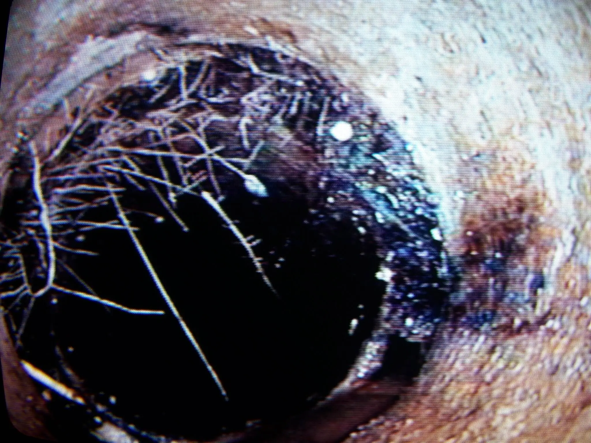 Inspection de drain par camera - interieur d'egout